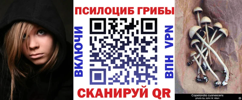 Галлюциногенные грибы Psilocybine cubensis Козьмодемьянск