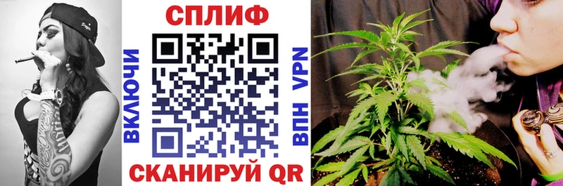 Купить  Козьмодемьянск  Конопля планчик 